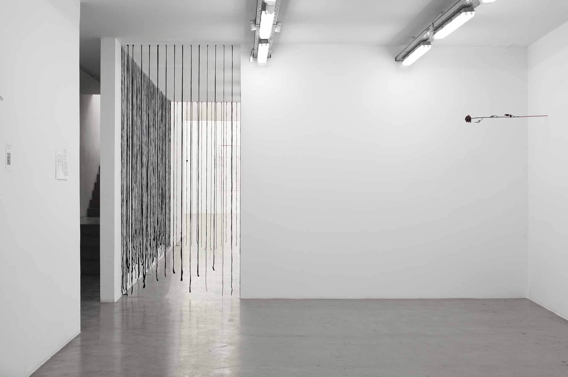 Carlos Herrera Deshuesado