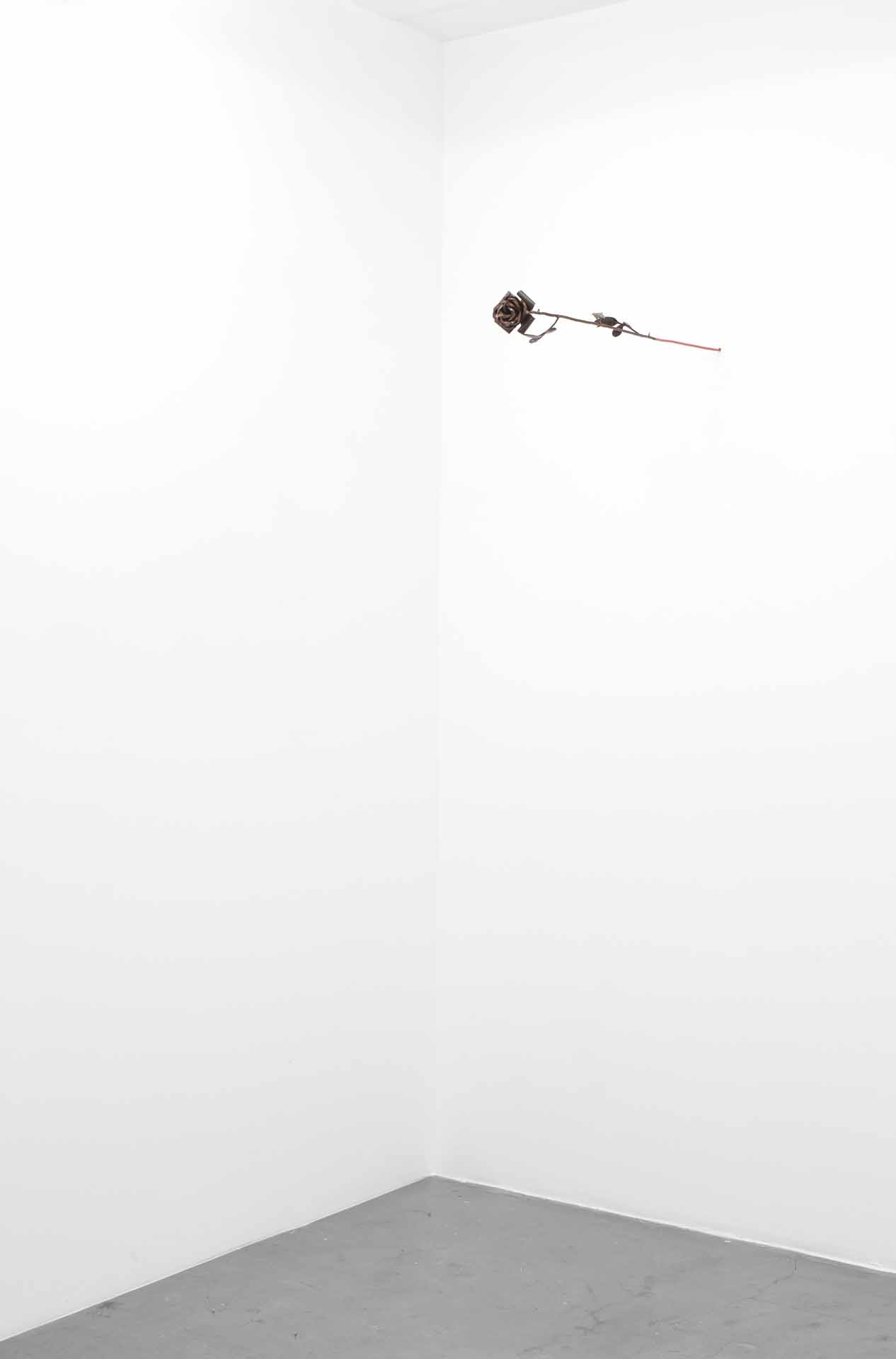 Carlos Herrera Deshuesado