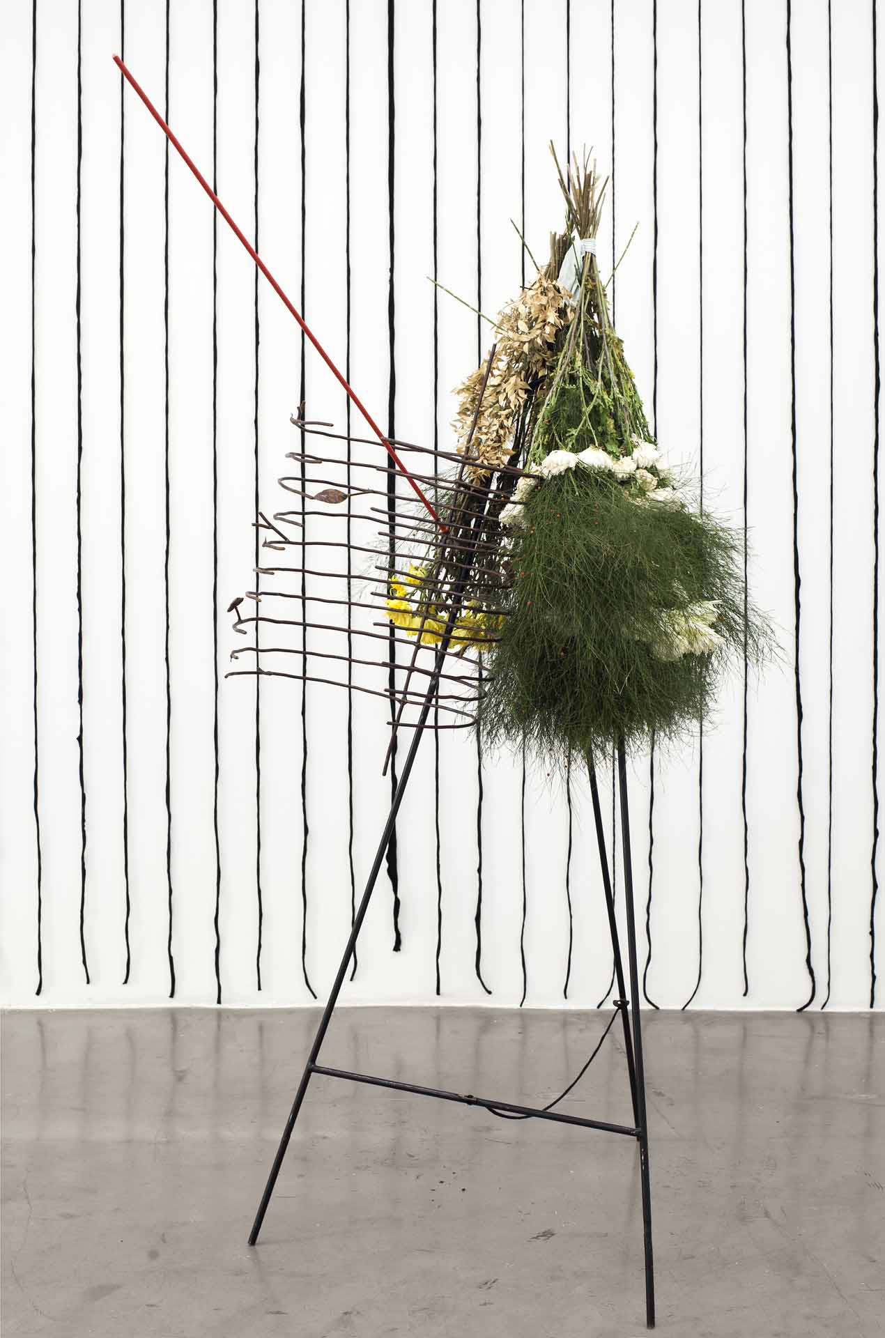 Carlos Herrera Deshuesado