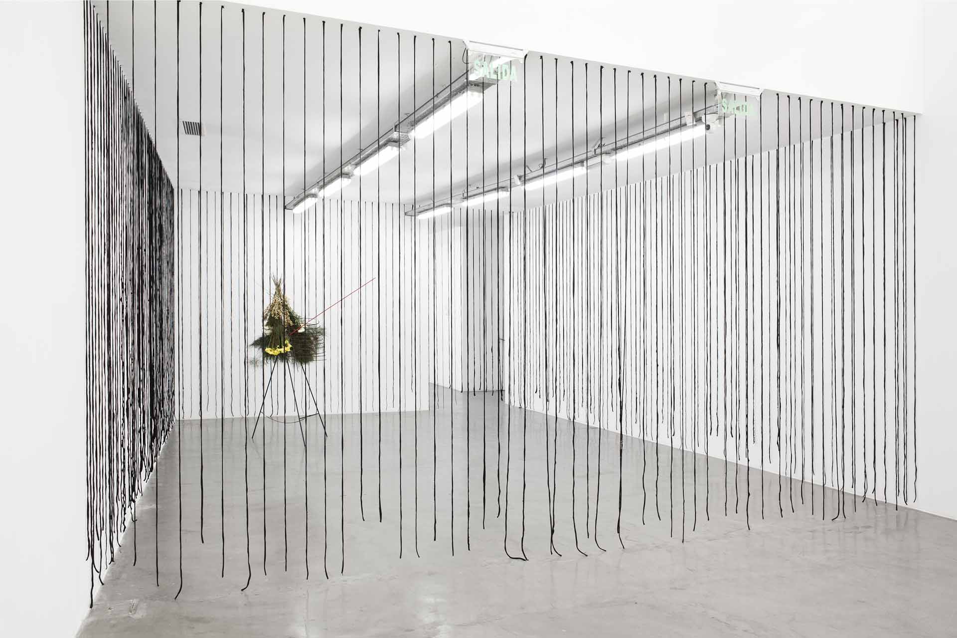 Carlos Herrera Deshuesado