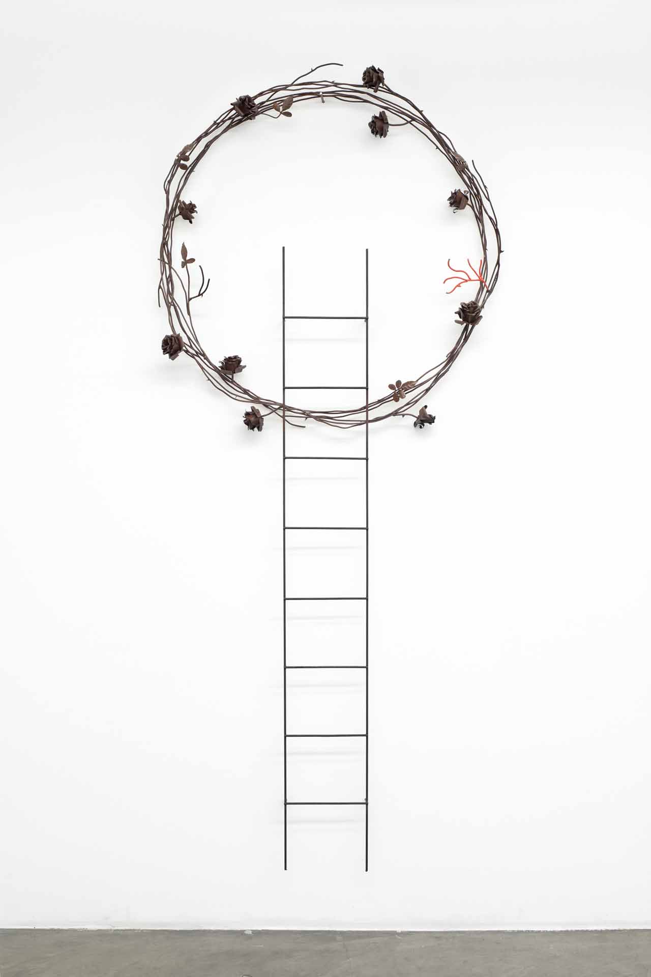 Carlos Herrera Deshuesado