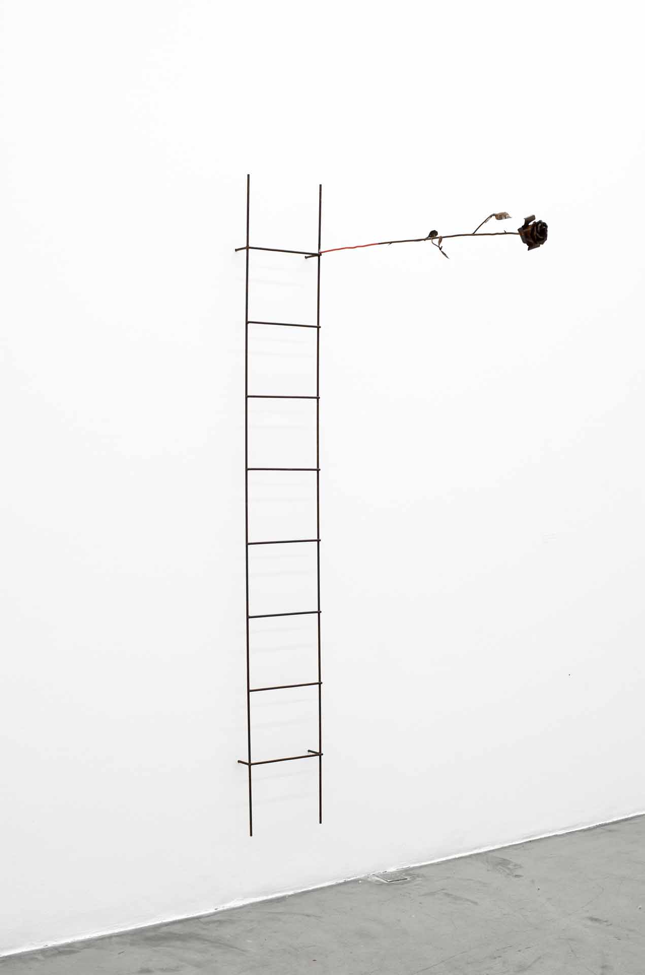 Carlos Herrera Deshuesado