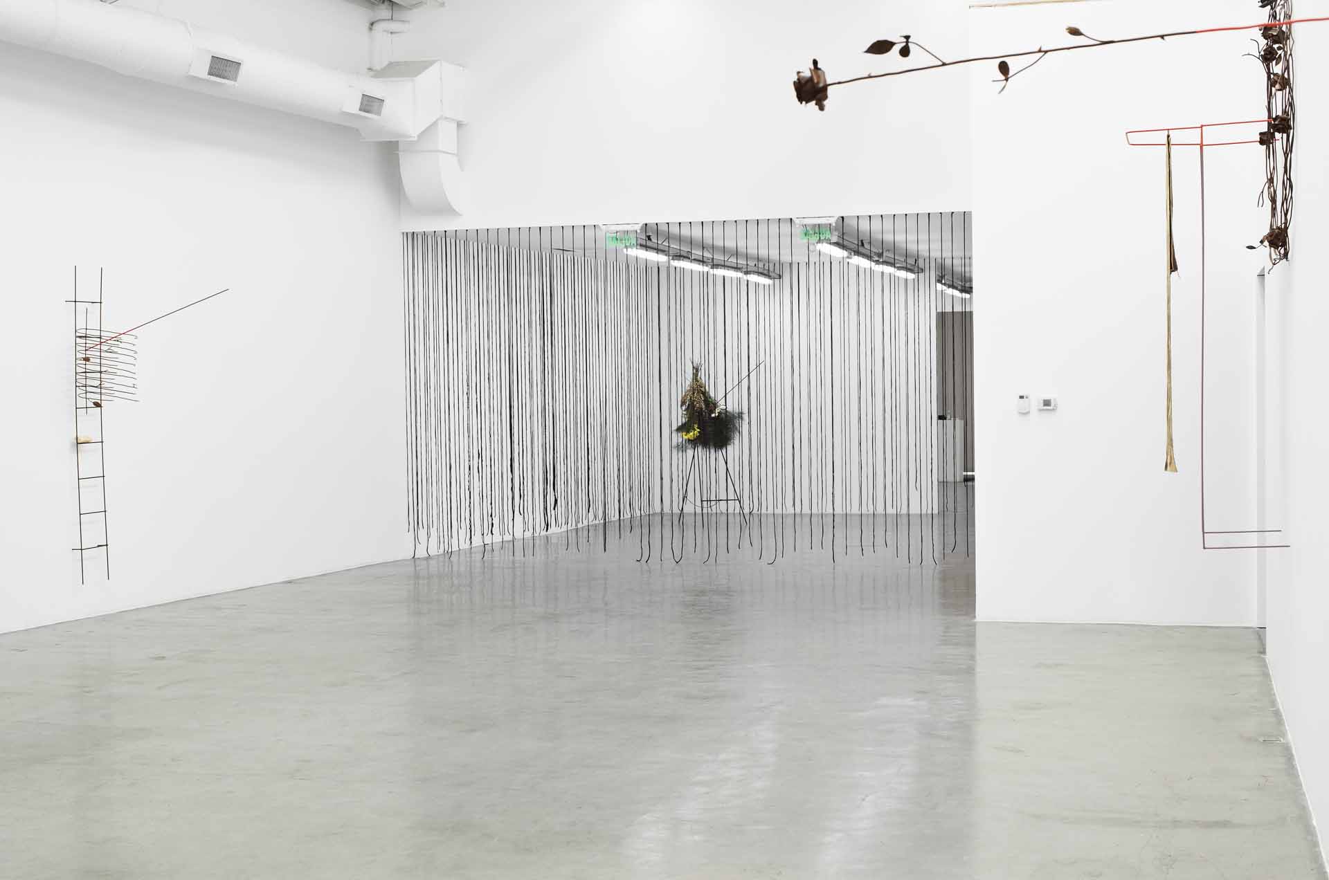 Carlos Herrera Deshuesado