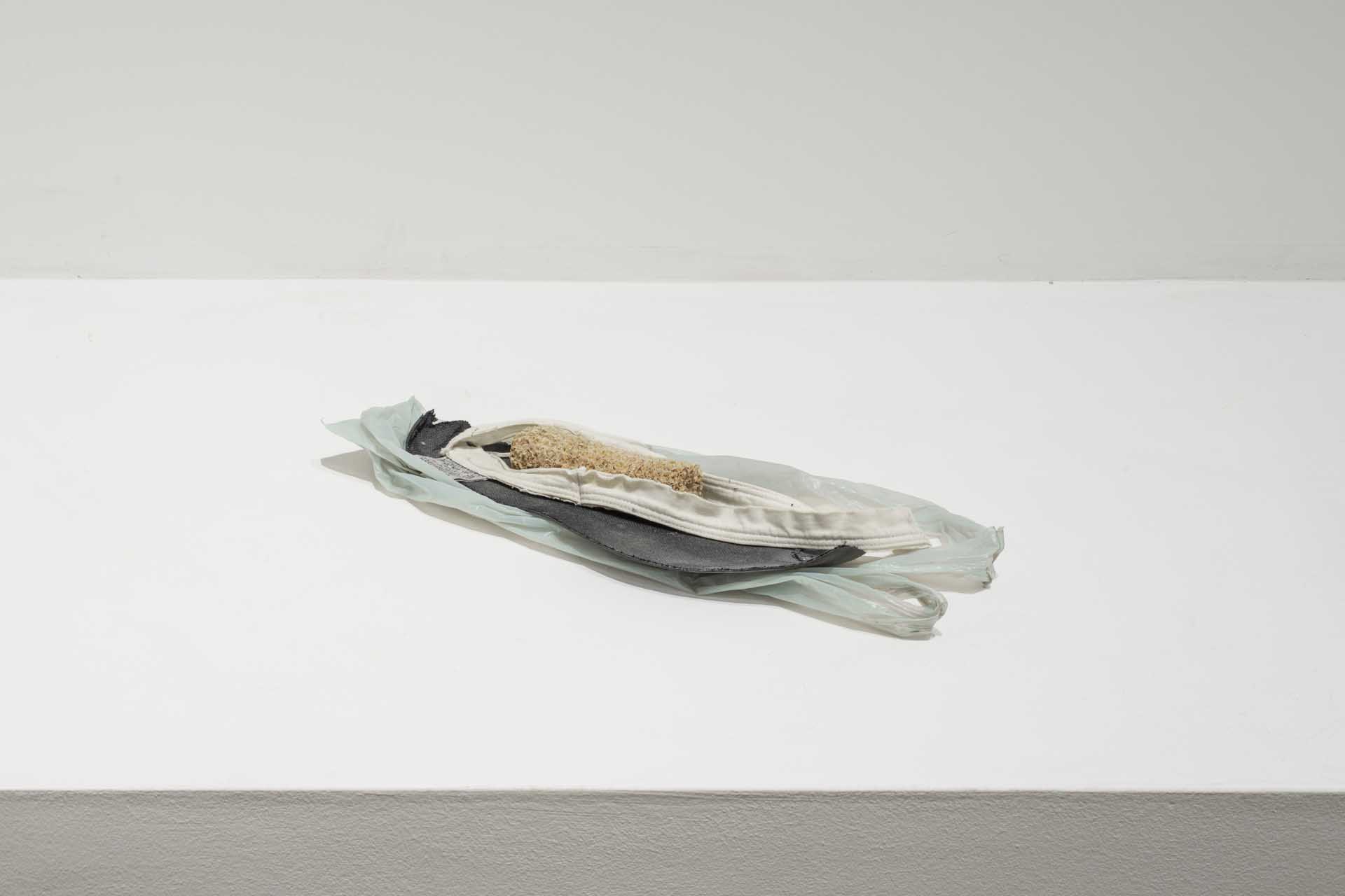 CARLOS HERRERA- INGRAVIDO